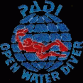 PADI OPEN WATER DIVER